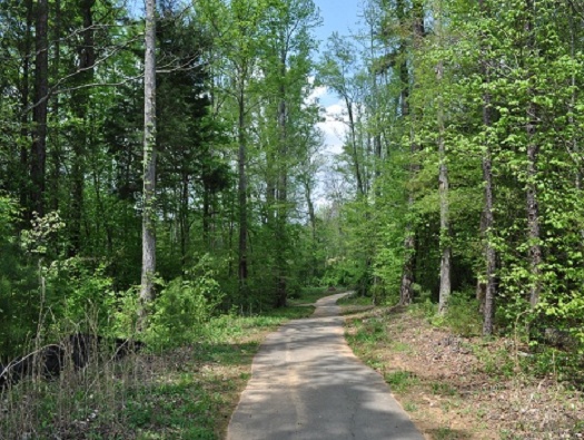 Walking Trails